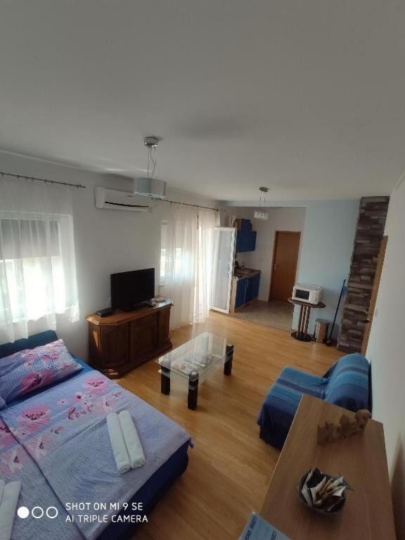Apartments Antonija - Fitness Винишче Экстерьер фото